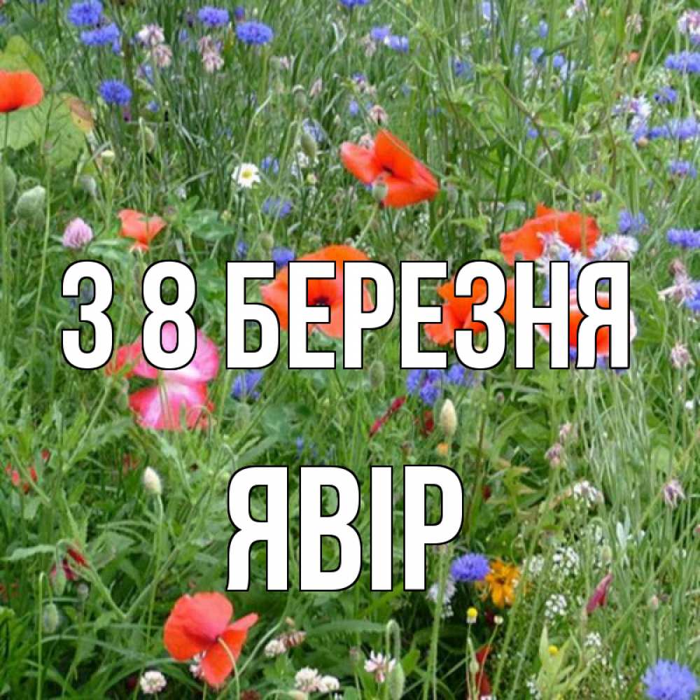 Открытка на каждый день з підписом, Явір З 8 БЕРЕЗНЯ международный женский день 4 Прикольна листівка з побажанням онлайн скачати безкоштовно 