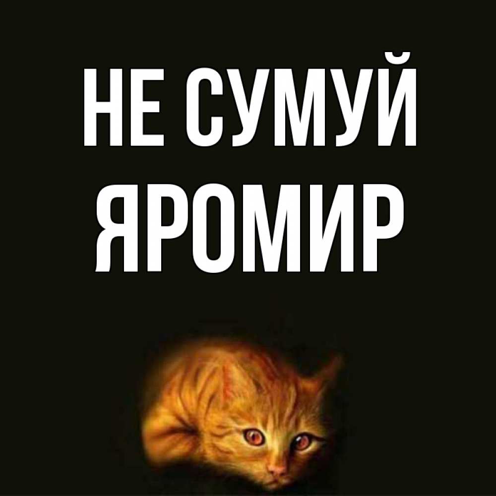 Открытка на каждый день з підписом, Яромир Не сумуй лежащий кот в темноте Прикольна листівка з побажанням онлайн скачати безкоштовно 