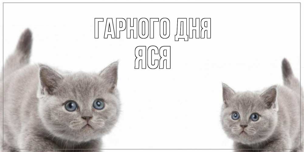 Открытка на каждый день з підписом, Яся Гарного дня открытка с котами Прикольна листівка з побажанням онлайн скачати безкоштовно 