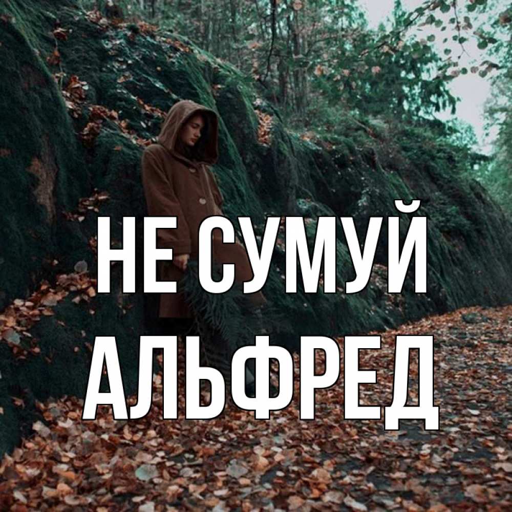Открытка на каждый день з підписом, Альфред Не сумуй осенний лес Прикольна листівка з побажанням онлайн скачати безкоштовно 