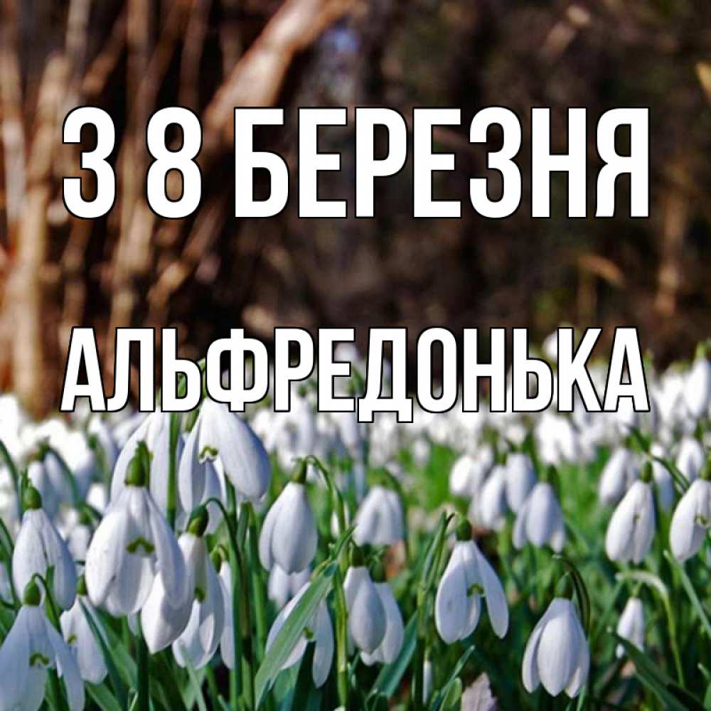 Открытка на каждый день з підписом, Альфредонька З 8 БЕРЕЗНЯ с подснежниками 1 Прикольна листівка з побажанням онлайн скачати безкоштовно 