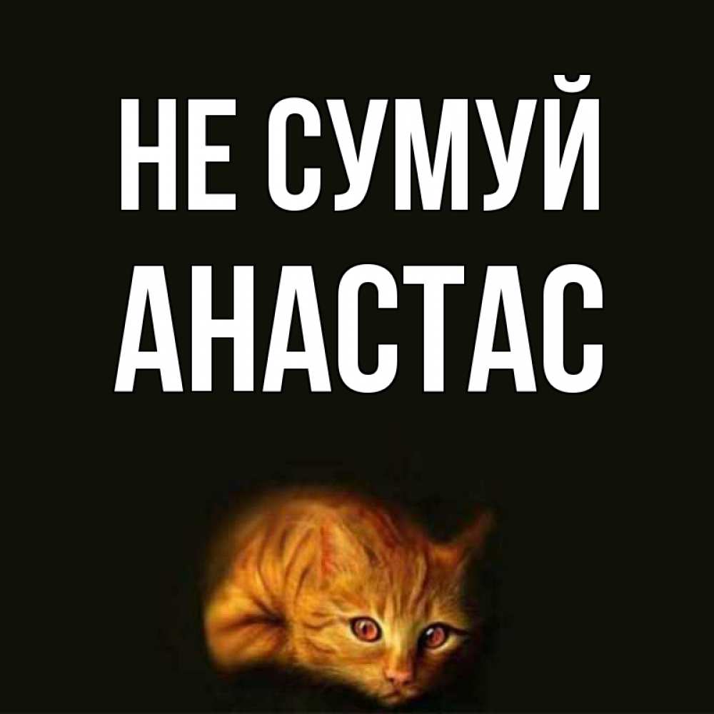 Открытка на каждый день з підписом, Анастас Не сумуй лежащий кот в темноте Прикольна листівка з побажанням онлайн скачати безкоштовно 