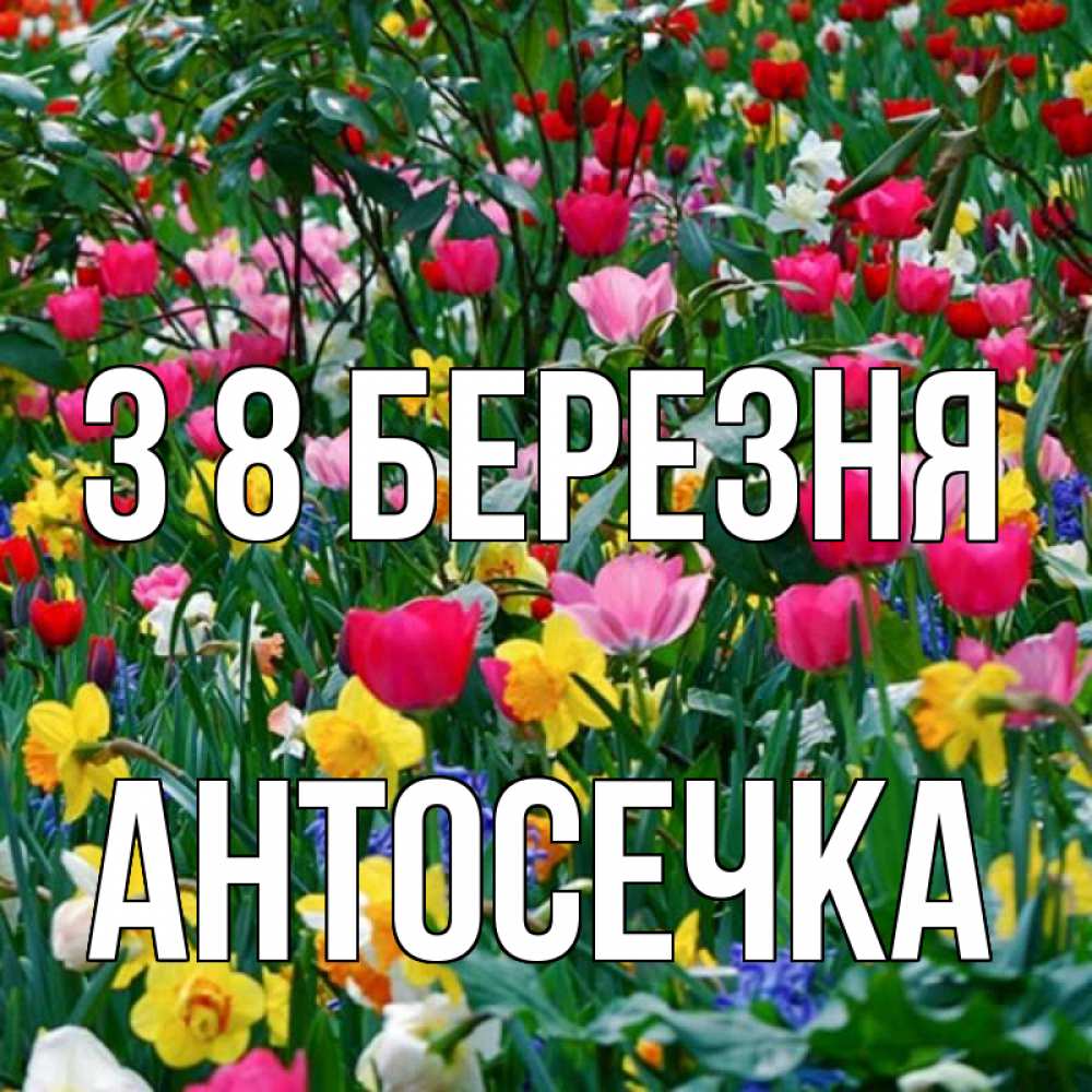 Открытка на каждый день з підписом, Антосечка З 8 БЕРЕЗНЯ с международным женским днем поздравления для женщины Прикольна листівка з побажанням онлайн скачати безкоштовно 