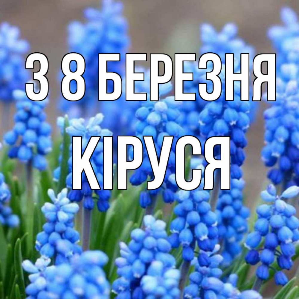 Открытка на каждый день з підписом, Кіруся З 8 БЕРЕЗНЯ Поздравительная открытка для женщин с цветами на праздничную дату Прикольна листівка з побажанням онлайн скачати безкоштовно 