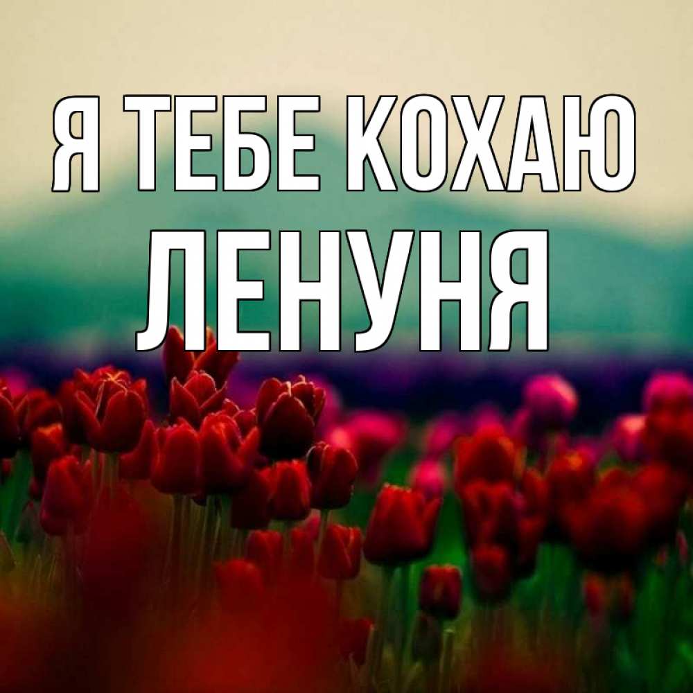 Открытка на каждый день з підписом, Ленуня Я тебе кохаю тюльпаны 4 Прикольна листівка з побажанням онлайн скачати безкоштовно 