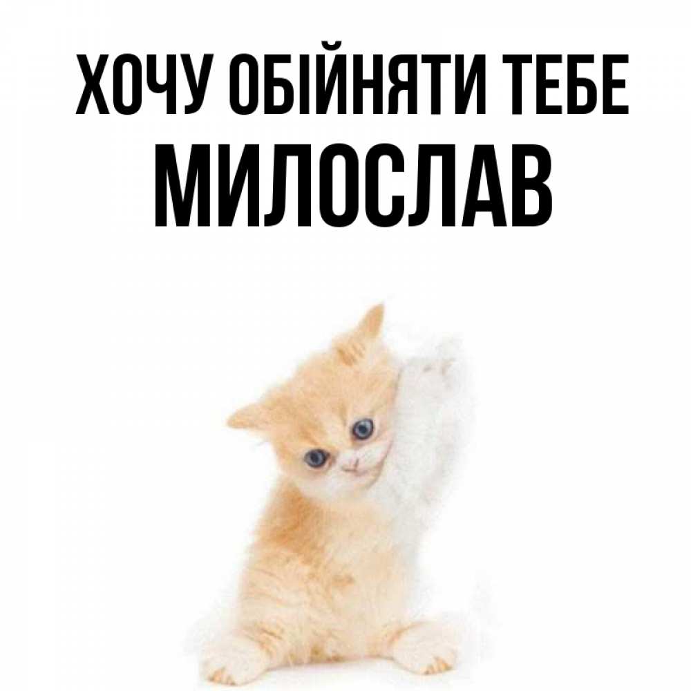 Открытка на каждый день з підписом, Милослав Хочу обійняти тебе я хочу очень скорее обнимаешек Прикольна листівка з побажанням онлайн скачати безкоштовно 