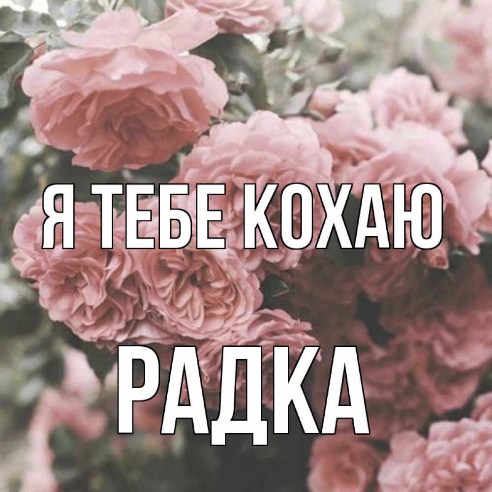Открытка на каждый день з підписом, Радка Я тебе кохаю розы 3 Прикольна листівка з побажанням онлайн скачати безкоштовно 