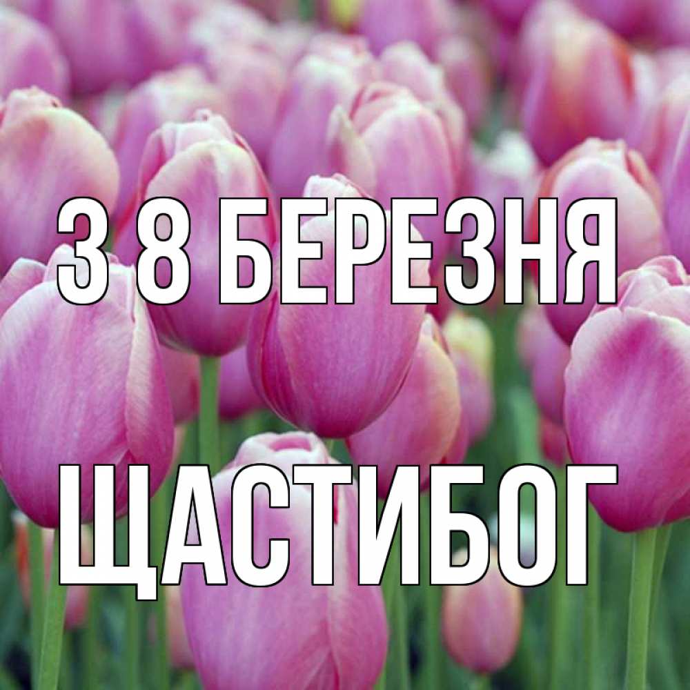 Открытка на каждый день з підписом, Щастибог З 8 БЕРЕЗНЯ на международный женский день 3 Прикольна листівка з побажанням онлайн скачати безкоштовно 
