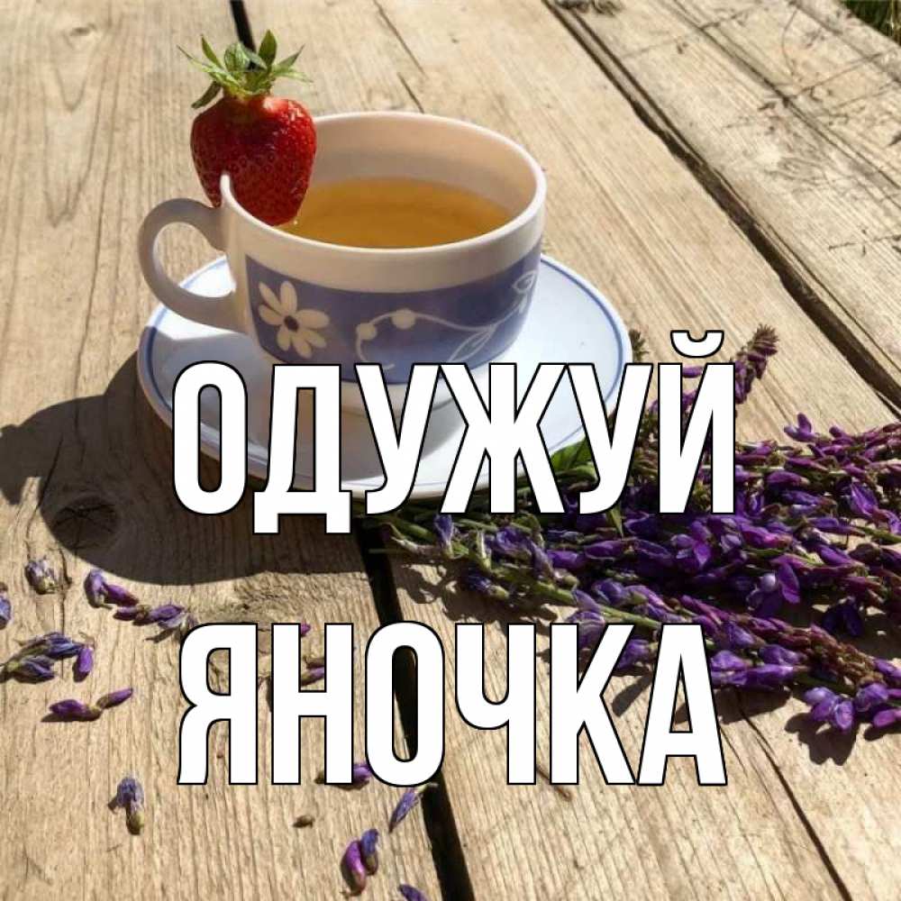 Открытка на каждый день з підписом, Яночка Одужуй чай Прикольна листівка з побажанням онлайн скачати безкоштовно 
