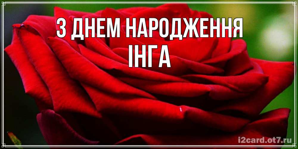 Открытка на каждый день з підписом, Інга З Днем народження розочка очень красивая Прикольна листівка з побажанням онлайн скачати безкоштовно 