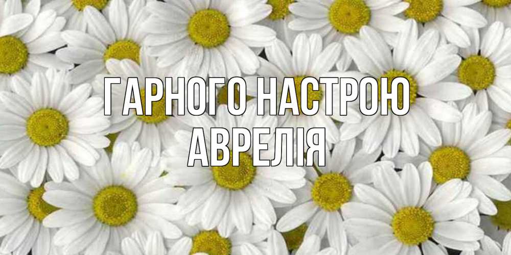 Открытка на каждый день з підписом, Аврелія Гарного настрою поляна ромашек Прикольна листівка з побажанням онлайн скачати безкоштовно 
