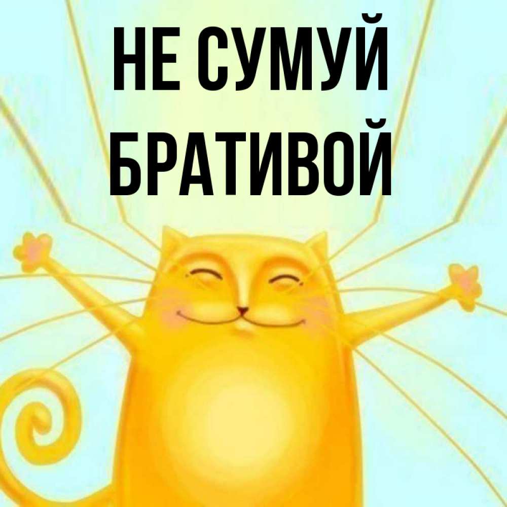 Открытка на каждый день з підписом, Бративой Не сумуй обнимашки усатые Прикольна листівка з побажанням онлайн скачати безкоштовно 