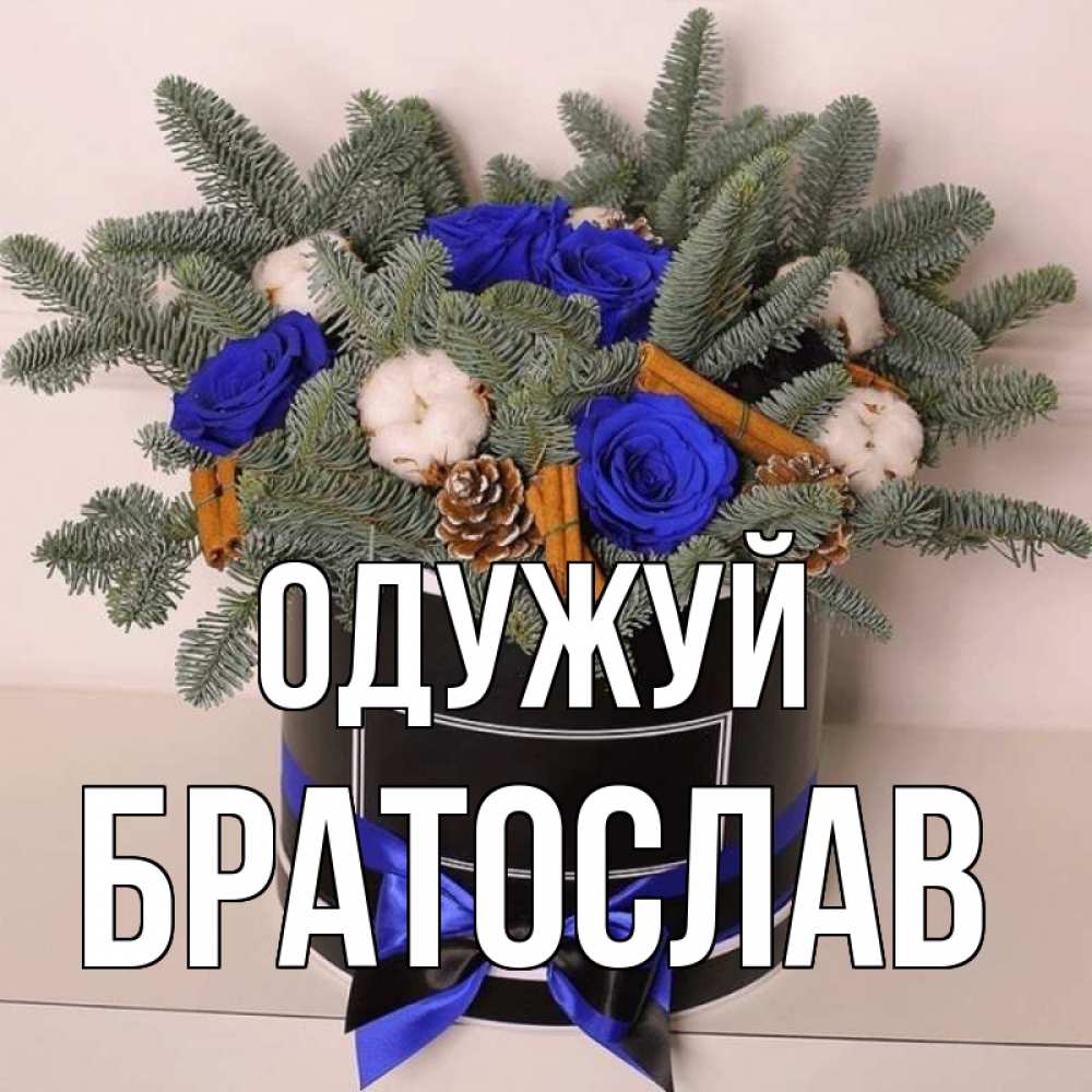 Открытка на каждый день з підписом, Братослав Одужуй короче кто то загрузил эти шишки Прикольна листівка з побажанням онлайн скачати безкоштовно 