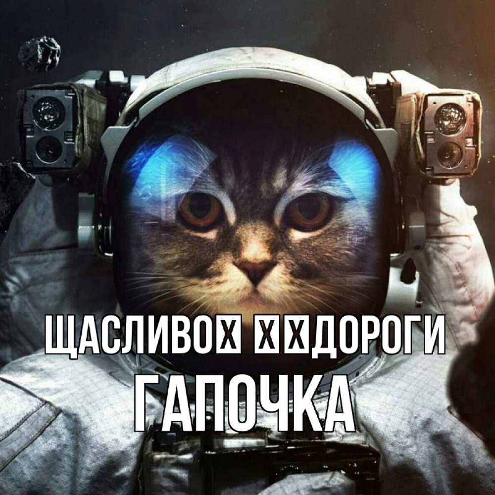 Открытка на каждый день з підписом, Гапочка Щасливої ​​дороги желает удачно добраться Прикольна листівка з побажанням онлайн скачати безкоштовно 