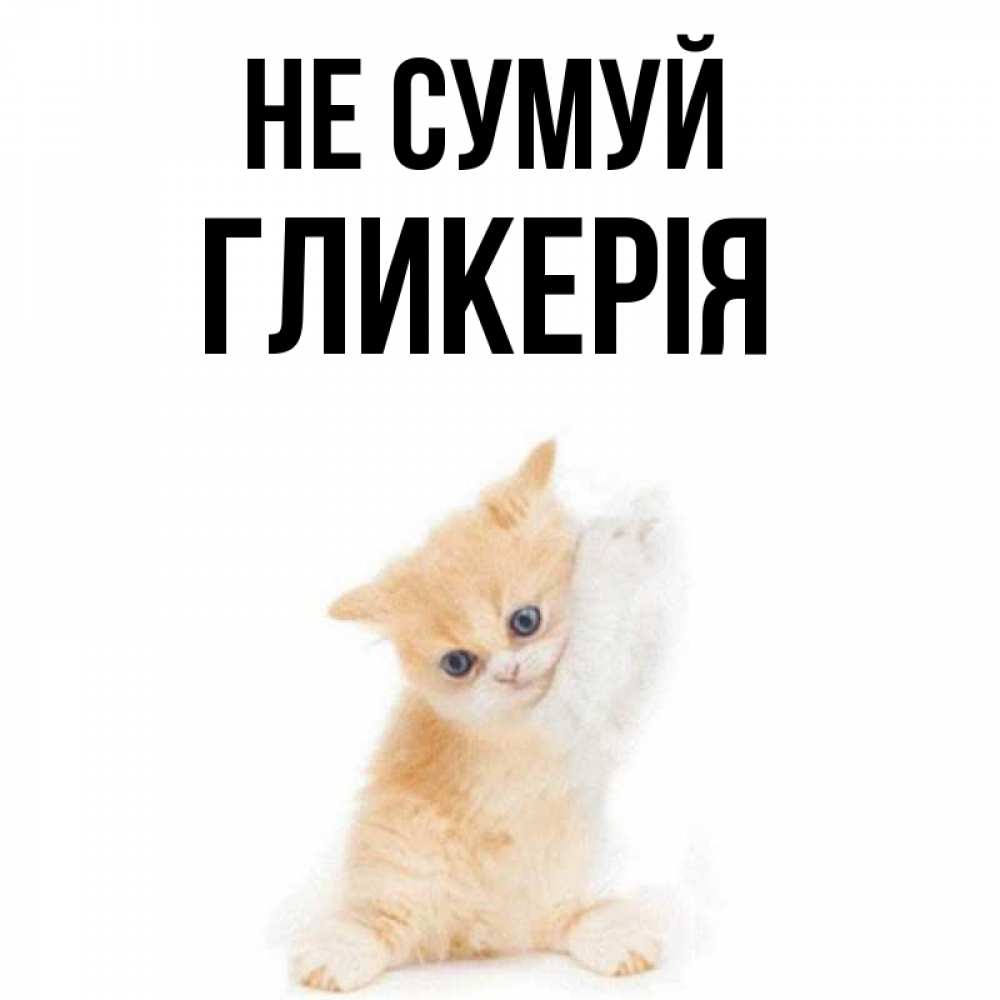 Открытка на каждый день з підписом, Гликерія Не сумуй просящий кот Прикольна листівка з побажанням онлайн скачати безкоштовно 