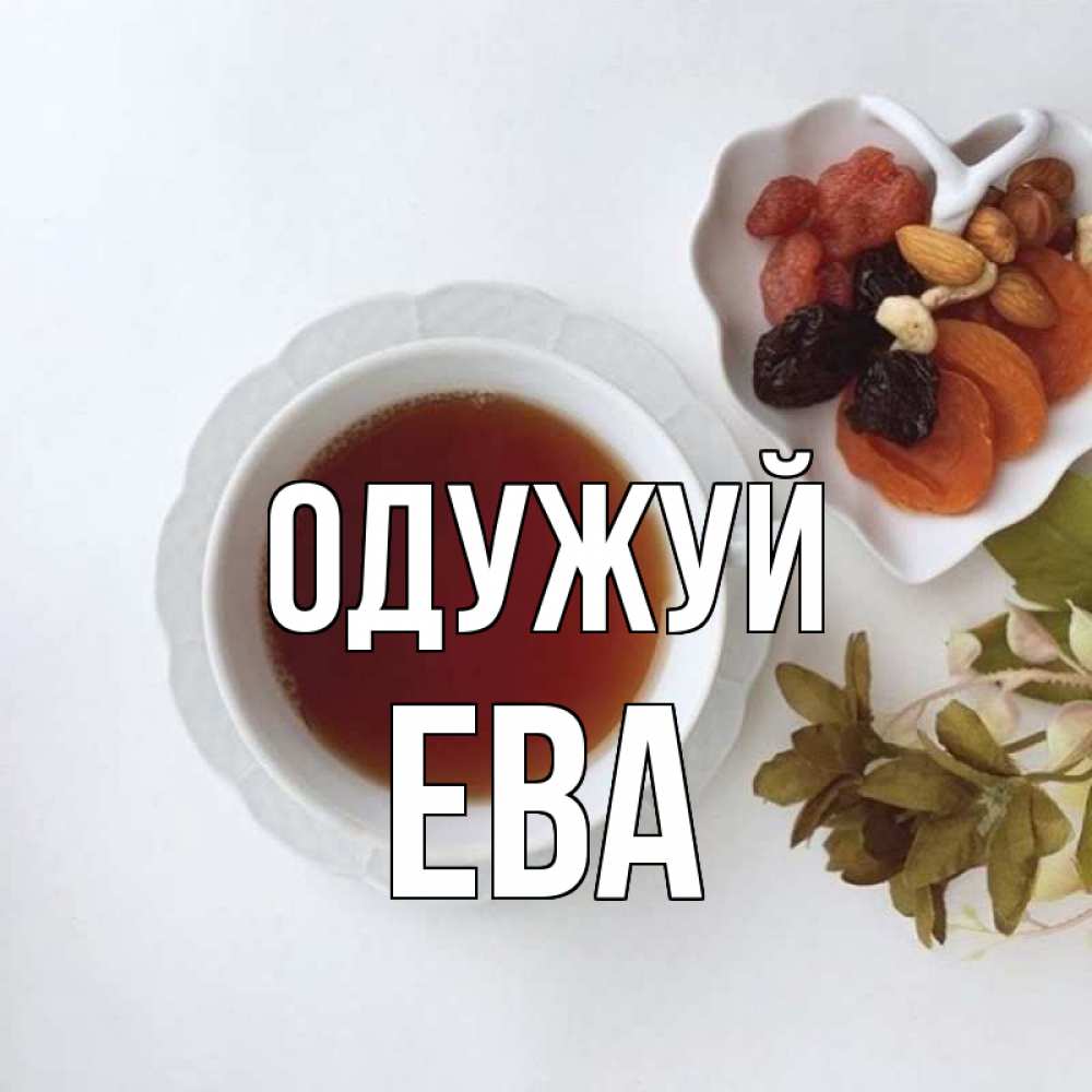 Открытка на каждый день з підписом, Ева Одужуй неизвестные растения Прикольна листівка з побажанням онлайн скачати безкоштовно 