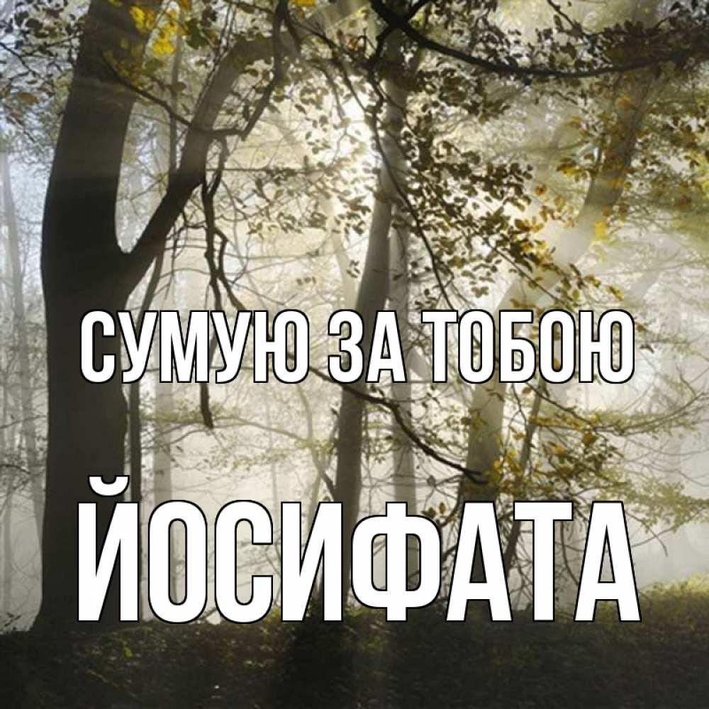 Открытка на каждый день з підписом, Йосифата Сумую за тобою грустно Прикольна листівка з побажанням онлайн скачати безкоштовно 