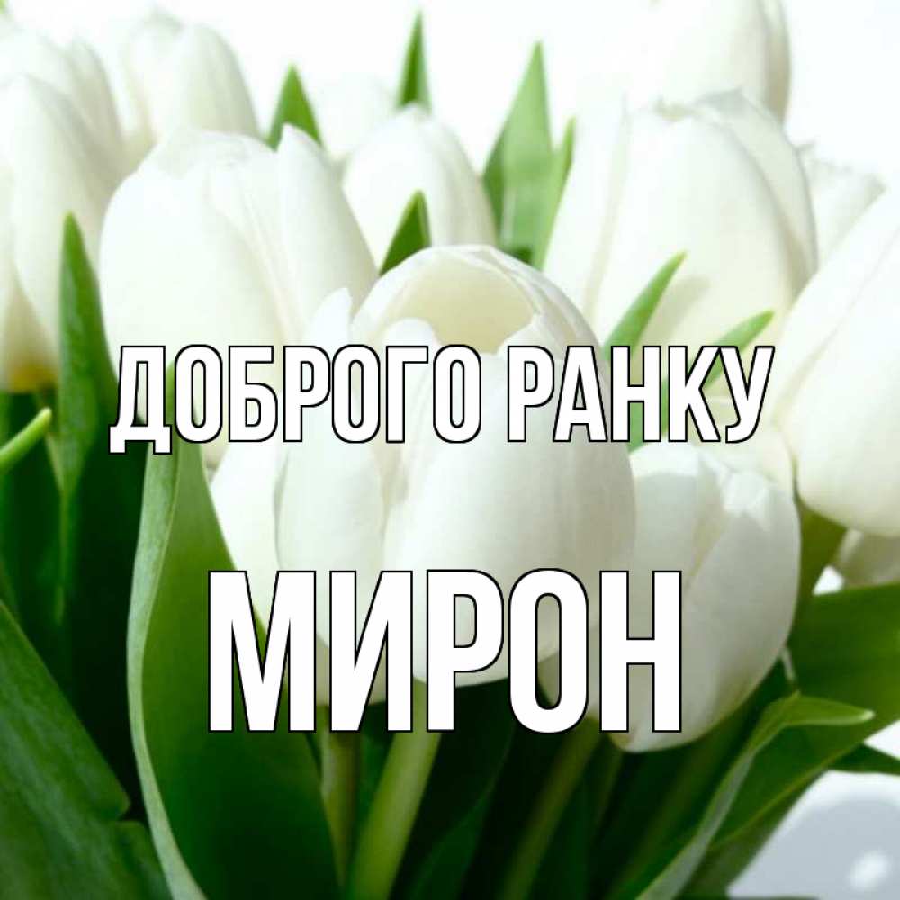 Открытка на каждый день з підписом, Мирон Доброго ранку открытки на каждый день по именам Прикольна листівка з побажанням онлайн скачати безкоштовно 