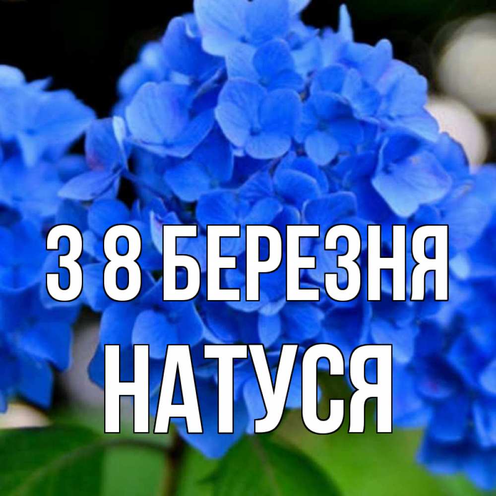 Открытка на каждый день з підписом, Натуся З 8 БЕРЕЗНЯ синие цветы Прикольна листівка з побажанням онлайн скачати безкоштовно 