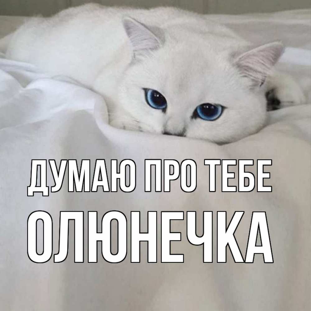 Открытка на каждый день з підписом, Олюнечка Думаю про тебе я очень по тебе скучаю и тоскую Прикольна листівка з побажанням онлайн скачати безкоштовно 
