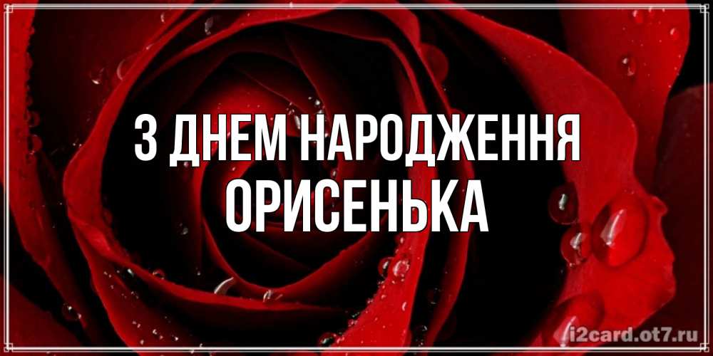 Открытка на каждый день з підписом, Орисенька З Днем народження крупная бордовая роза Прикольна листівка з побажанням онлайн скачати безкоштовно 