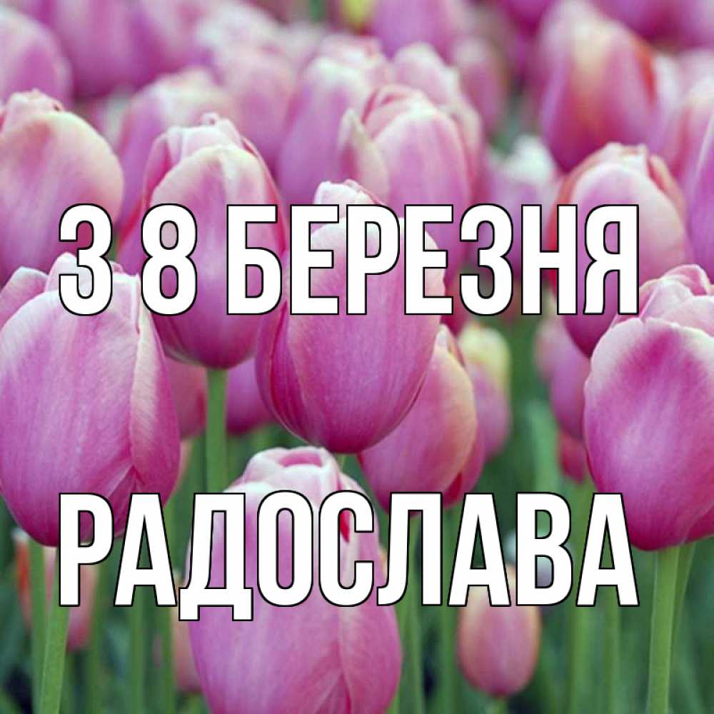 Открытка на каждый день з підписом, Радослава З 8 БЕРЕЗНЯ на международный женский день 3 Прикольна листівка з побажанням онлайн скачати безкоштовно 