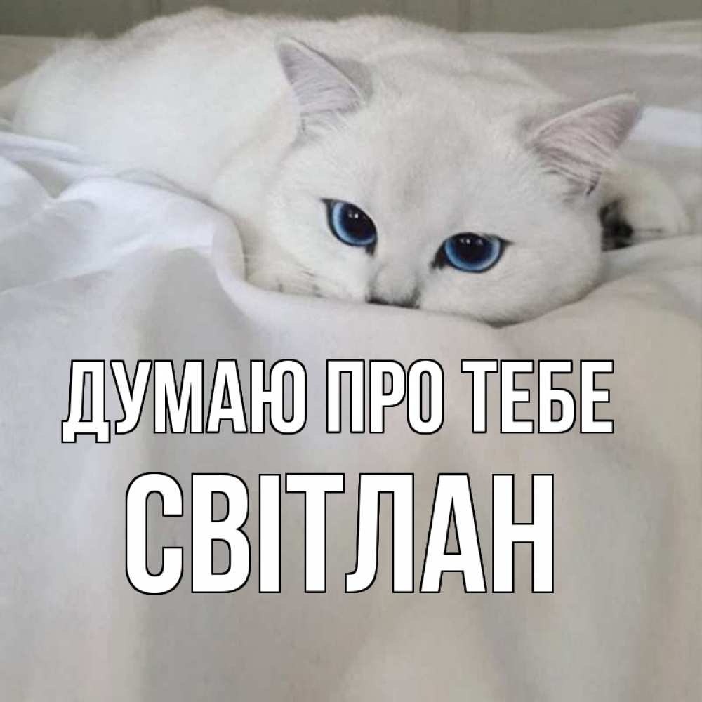 Открытка на каждый день з підписом, Світлан Думаю про тебе я очень по тебе скучаю и тоскую Прикольна листівка з побажанням онлайн скачати безкоштовно 