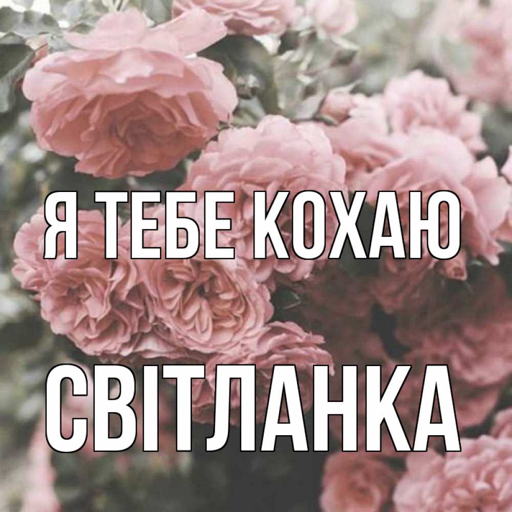 Открытка на каждый день з підписом, Світланка Я тебе кохаю розы 3 Прикольна листівка з побажанням онлайн скачати безкоштовно 
