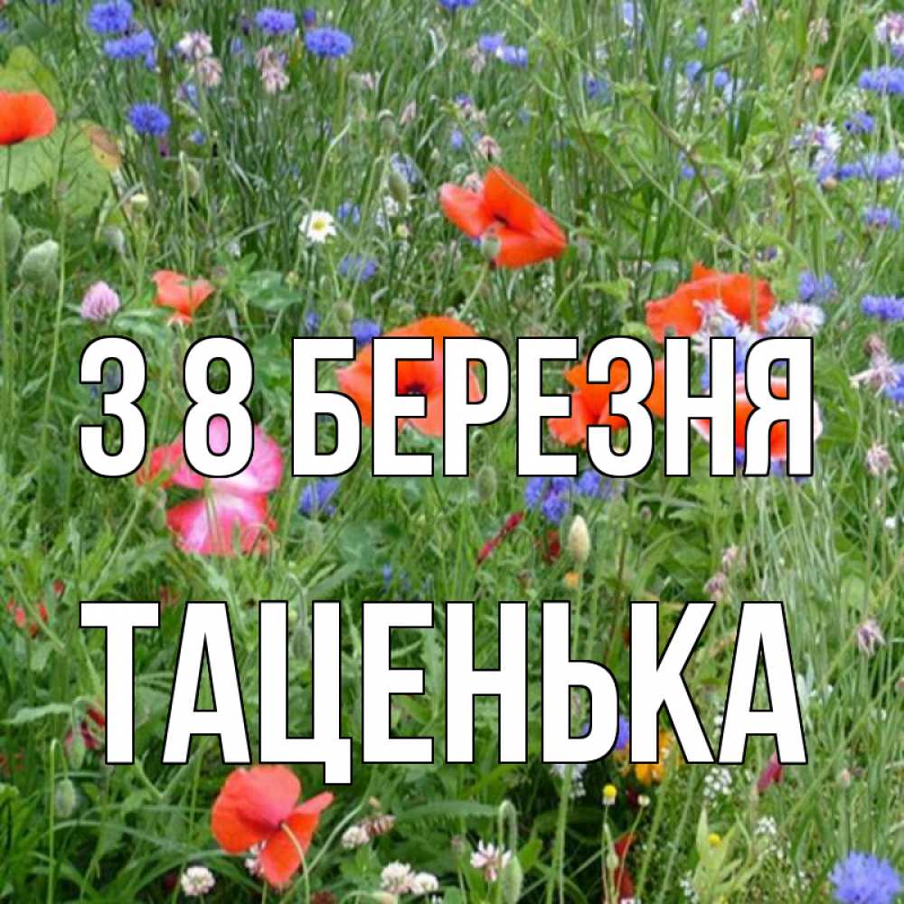 Открытка на каждый день з підписом, Таценька З 8 БЕРЕЗНЯ международный женский день 4 Прикольна листівка з побажанням онлайн скачати безкоштовно 