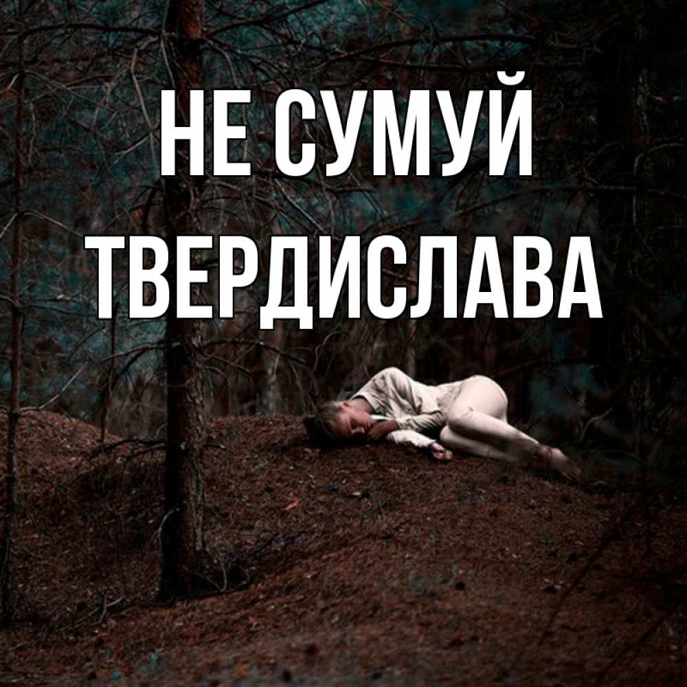 Открытка на каждый день з підписом, Твердислава Не сумуй лес Прикольна листівка з побажанням онлайн скачати безкоштовно 