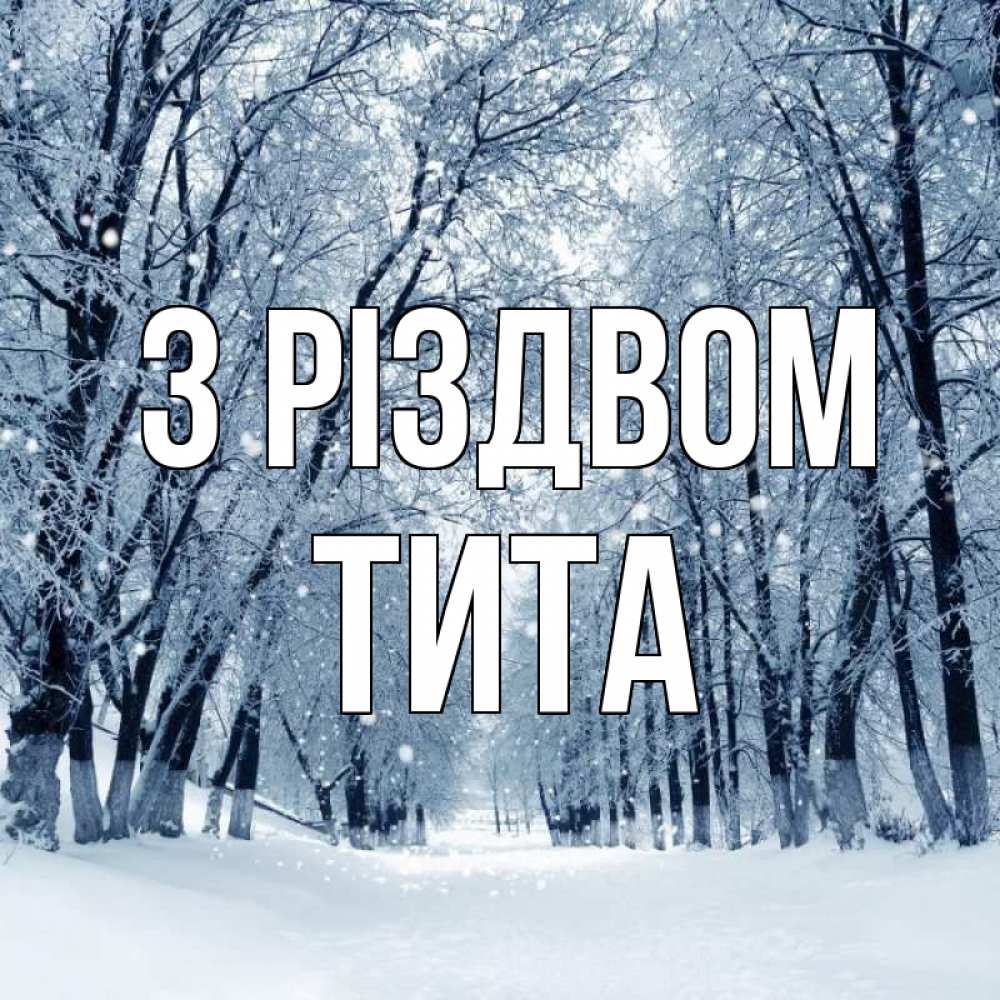 Открытка на каждый день з підписом, Тита З Різдвом снег, лес, парк Прикольна листівка з побажанням онлайн скачати безкоштовно 