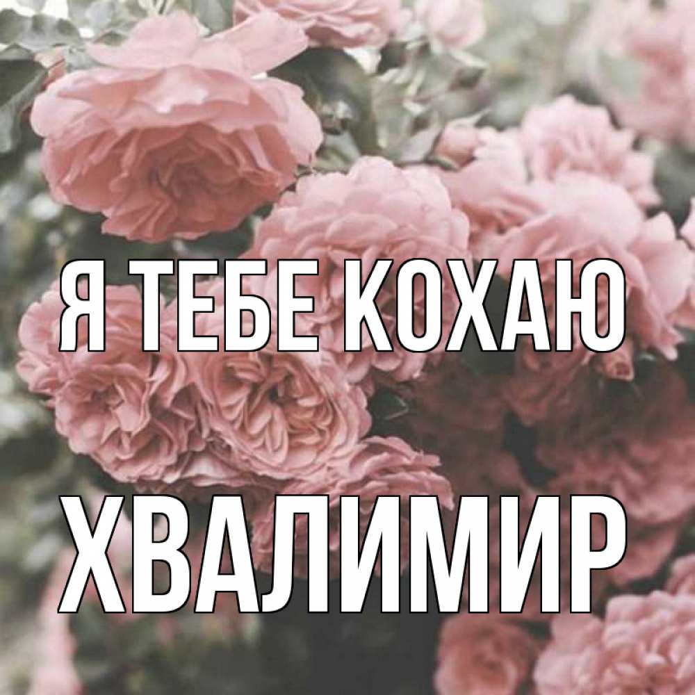 Открытка на каждый день з підписом, Хвалимир Я тебе кохаю розы 3 Прикольна листівка з побажанням онлайн скачати безкоштовно 