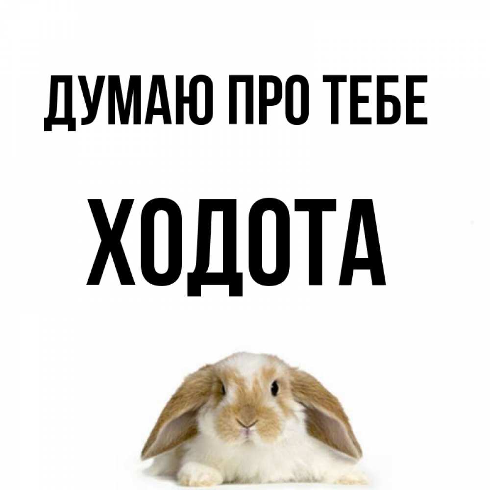 Открытка на каждый день з підписом, Ходота Думаю про тебе подписать своими руками онлайн Прикольна листівка з побажанням онлайн скачати безкоштовно 