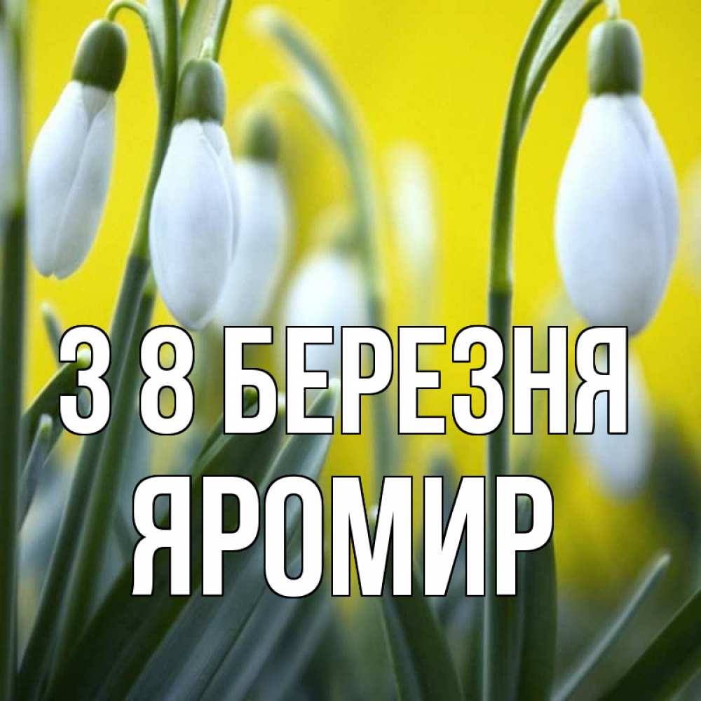 Открытка на каждый день з підписом, Яромир З 8 БЕРЕЗНЯ весенние цветы Прикольна листівка з побажанням онлайн скачати безкоштовно 