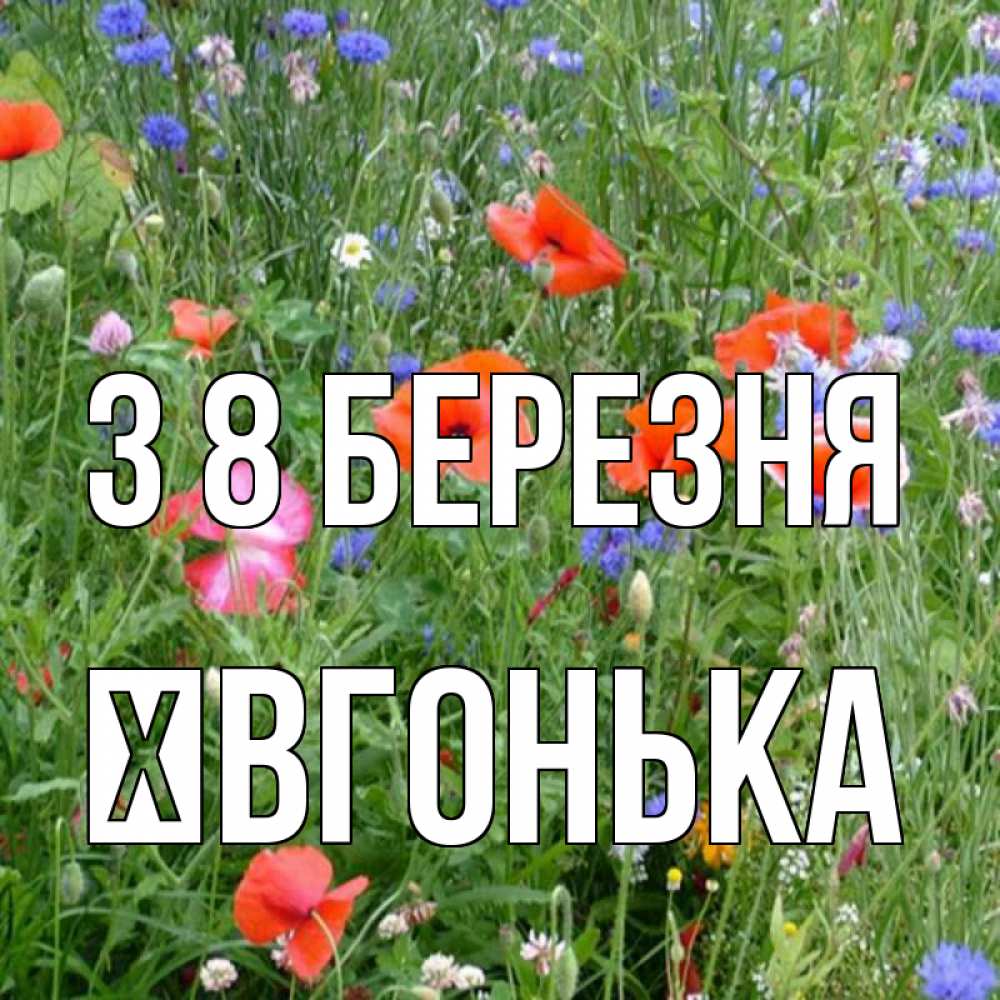 Открытка на каждый день з підписом, Ївгонька З 8 БЕРЕЗНЯ международный женский день 4 Прикольна листівка з побажанням онлайн скачати безкоштовно 