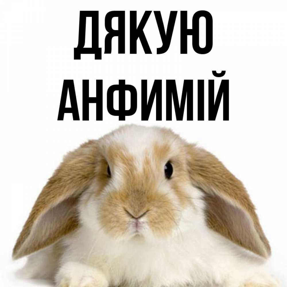 Открытка на каждый день з підписом, Анфимій Дякую коричнево белый заяц Прикольна листівка з побажанням онлайн скачати безкоштовно 