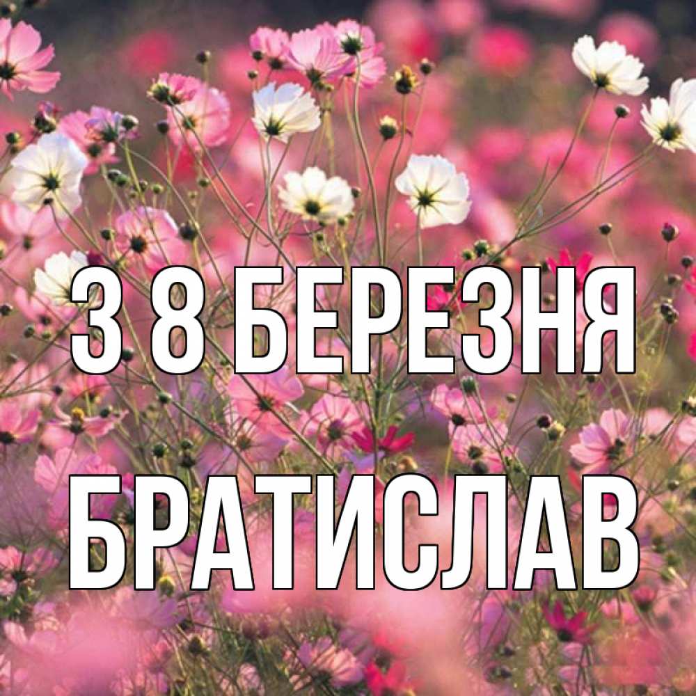Открытка на каждый день з підписом, Братислав З 8 БЕРЕЗНЯ красиво 1 Прикольна листівка з побажанням онлайн скачати безкоштовно 