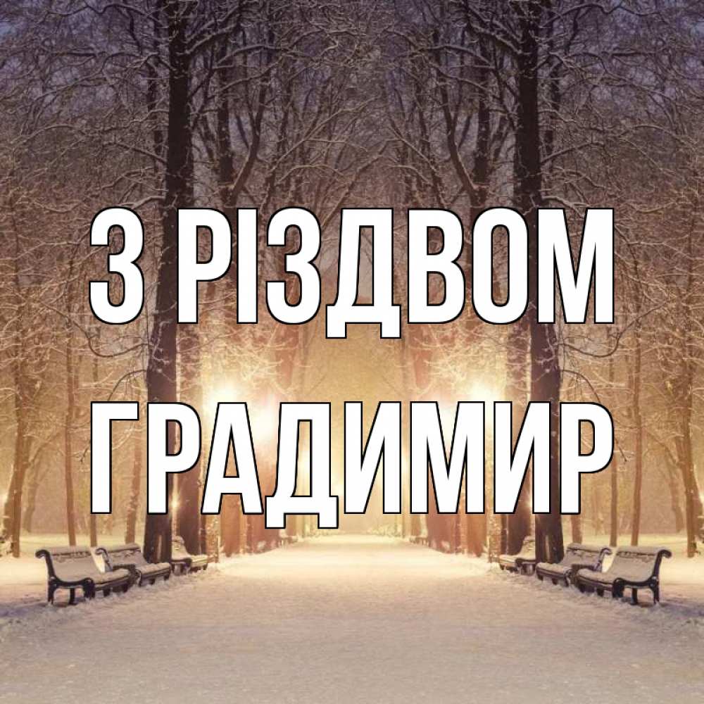 Открытка на каждый день з підписом, Градимир З Різдвом зима, парк, фонарь, лес Прикольна листівка з побажанням онлайн скачати безкоштовно 