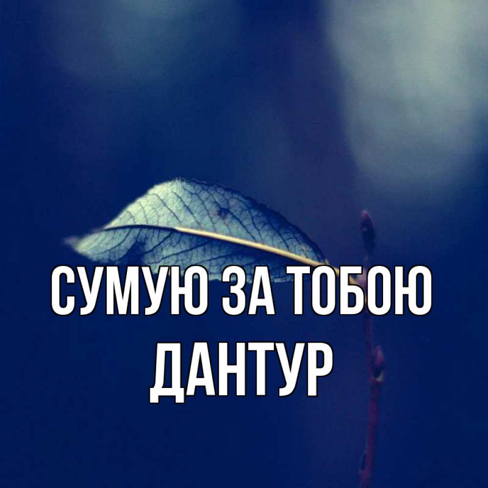 Открытка на каждый день з підписом, Дантур Сумую за тобою одна ветка 1 Прикольна листівка з побажанням онлайн скачати безкоштовно 