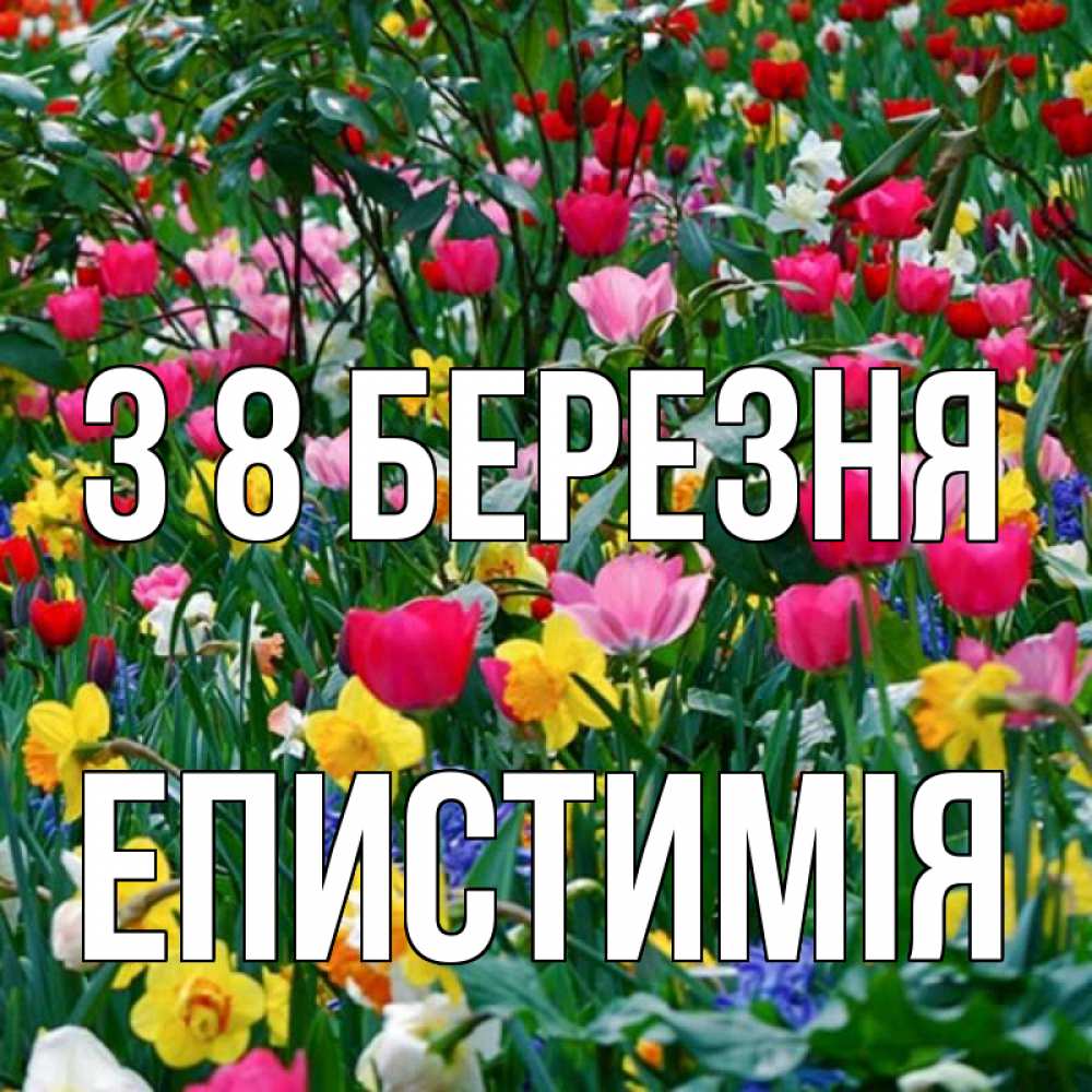 Открытка на каждый день з підписом, Епистимія З 8 БЕРЕЗНЯ с международным женским днем поздравления для женщины Прикольна листівка з побажанням онлайн скачати безкоштовно 