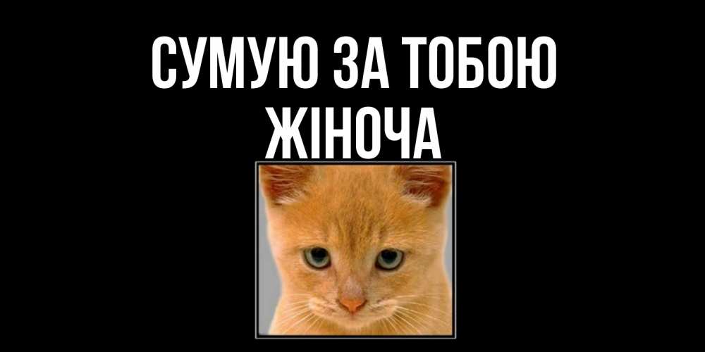 Открытка на каждый день з підписом, Жіноча Сумую за тобою открытки рыжий котенок скучает по тебе Прикольна листівка з побажанням онлайн скачати безкоштовно 