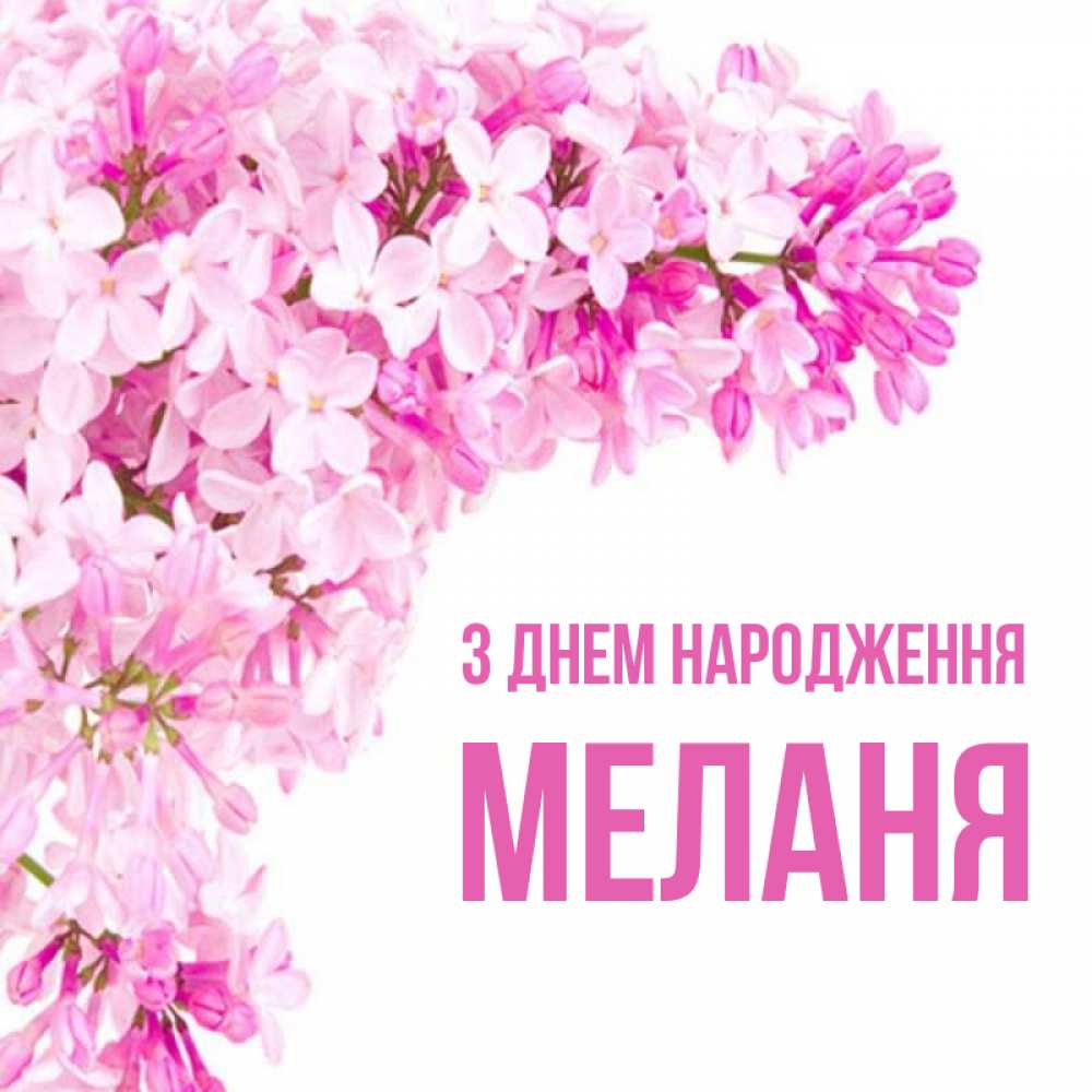 Открытка на каждый день з підписом, Меланя З Днем народження Сирень на белом фоне Прикольна листівка з побажанням онлайн скачати безкоштовно 
