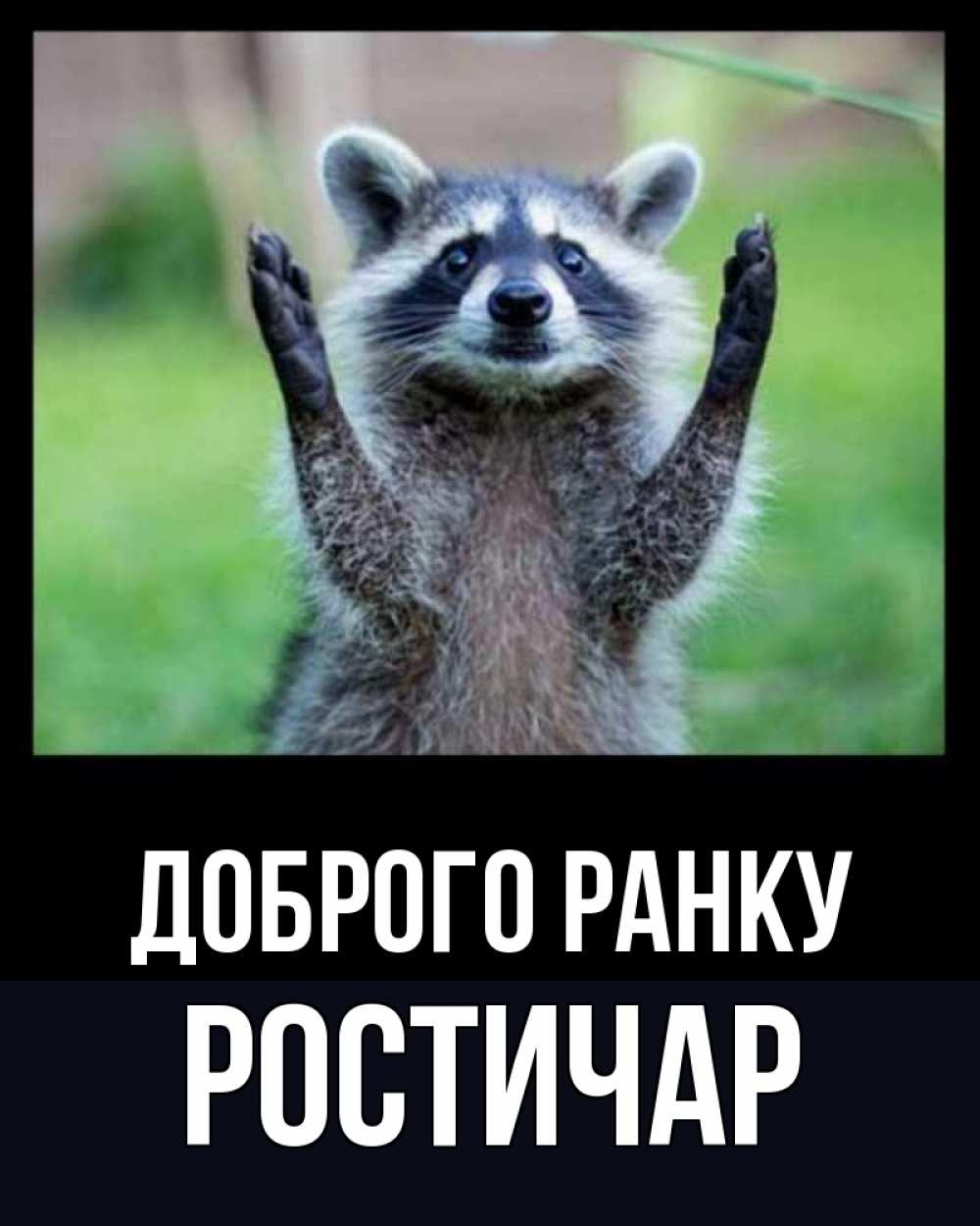 Открытка на каждый день з підписом, Ростичар Доброго ранку хорошее настроение утречком Прикольна листівка з побажанням онлайн скачати безкоштовно 