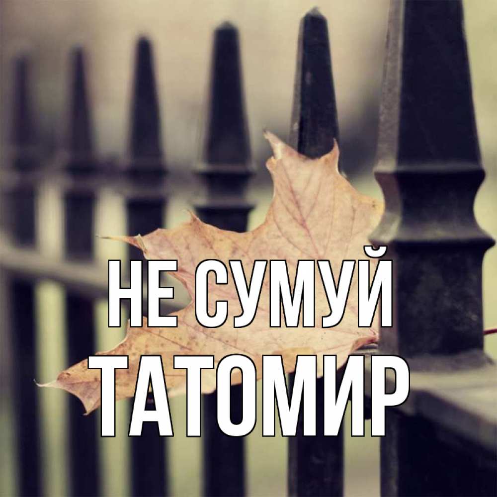 Открытка на каждый день з підписом, Татомир Не сумуй лист клена Прикольна листівка з побажанням онлайн скачати безкоштовно 