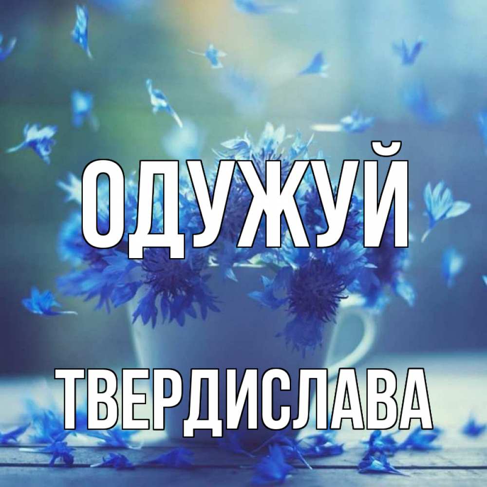 Открытка на каждый день з підписом, Твердислава Одужуй кружка с зельем и цветами Прикольна листівка з побажанням онлайн скачати безкоштовно 