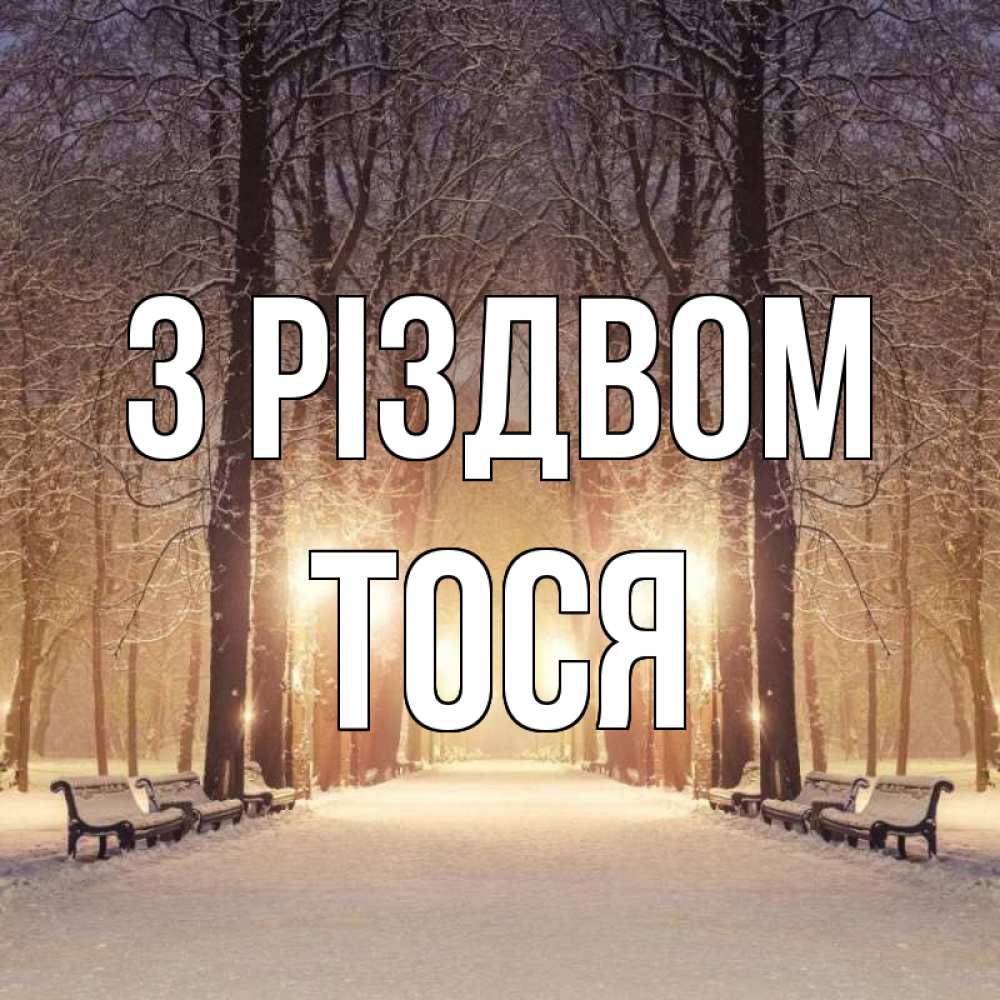 Открытка на каждый день з підписом, Тося З Різдвом зима, парк, фонарь, лес Прикольна листівка з побажанням онлайн скачати безкоштовно 