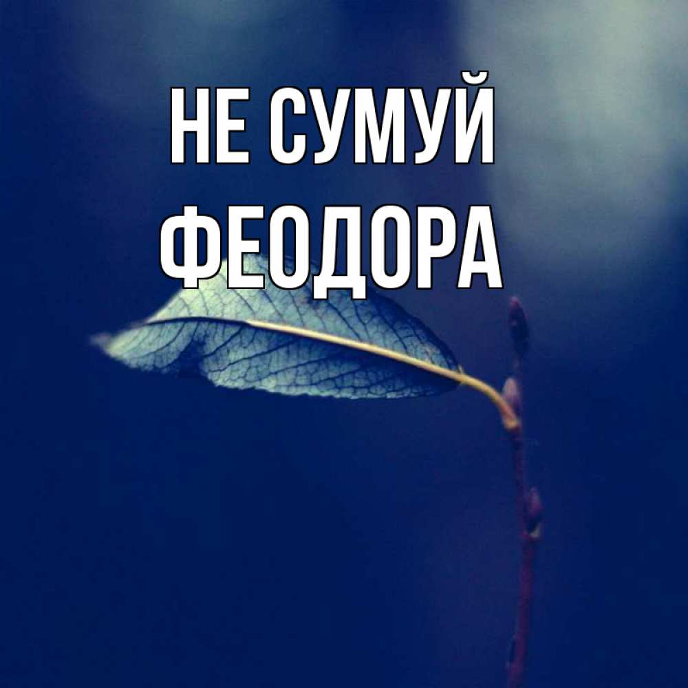 Открытка на каждый день з підписом, Феодора Не сумуй растение Прикольна листівка з побажанням онлайн скачати безкоштовно 