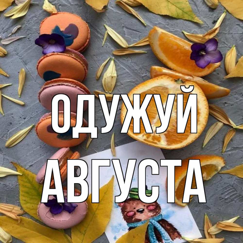 Открытка на каждый день з підписом, Августа Одужуй не болейте Прикольна листівка з побажанням онлайн скачати безкоштовно 