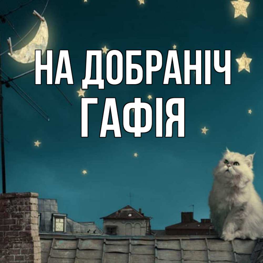 Открытка на каждый день з підписом, Гафія На добраніч белый кот сидит на крыше Прикольна листівка з побажанням онлайн скачати безкоштовно 
