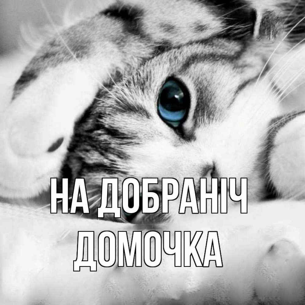 Открытка на каждый день з підписом, Домочка На добраніч кот устал Прикольна листівка з побажанням онлайн скачати безкоштовно 
